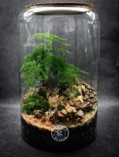 atelier-terra-148865